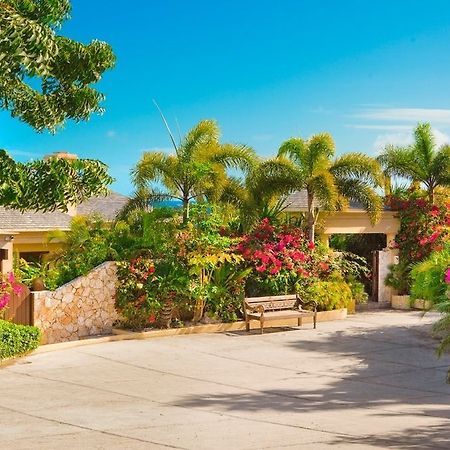 Anguilla'S Bird Of Paradise The Valley Bagian luar foto