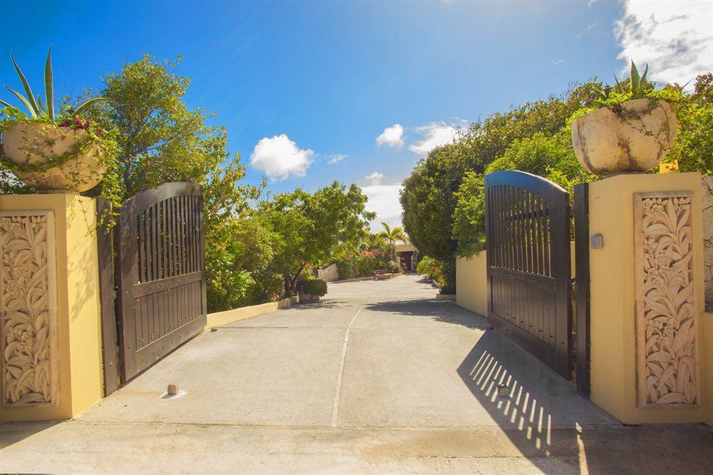 Anguilla'S Bird Of Paradise The Valley Bagian luar foto