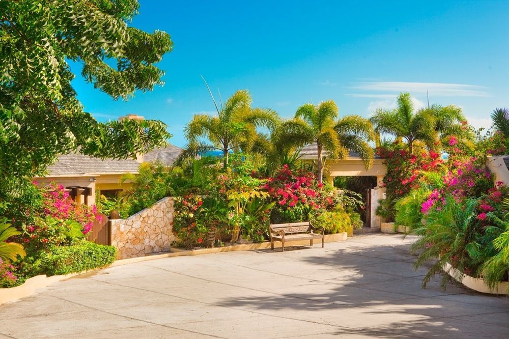 Anguilla'S Bird Of Paradise The Valley Bagian luar foto