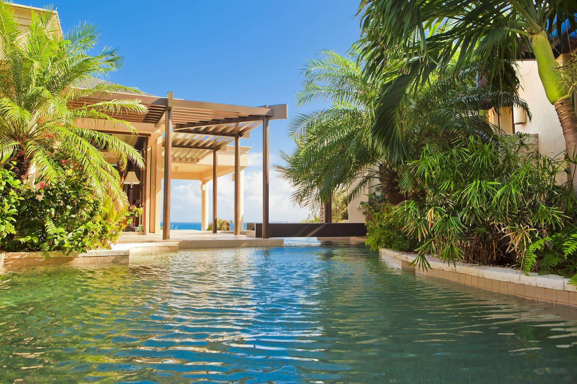 Anguilla'S Bird Of Paradise The Valley Bagian luar foto