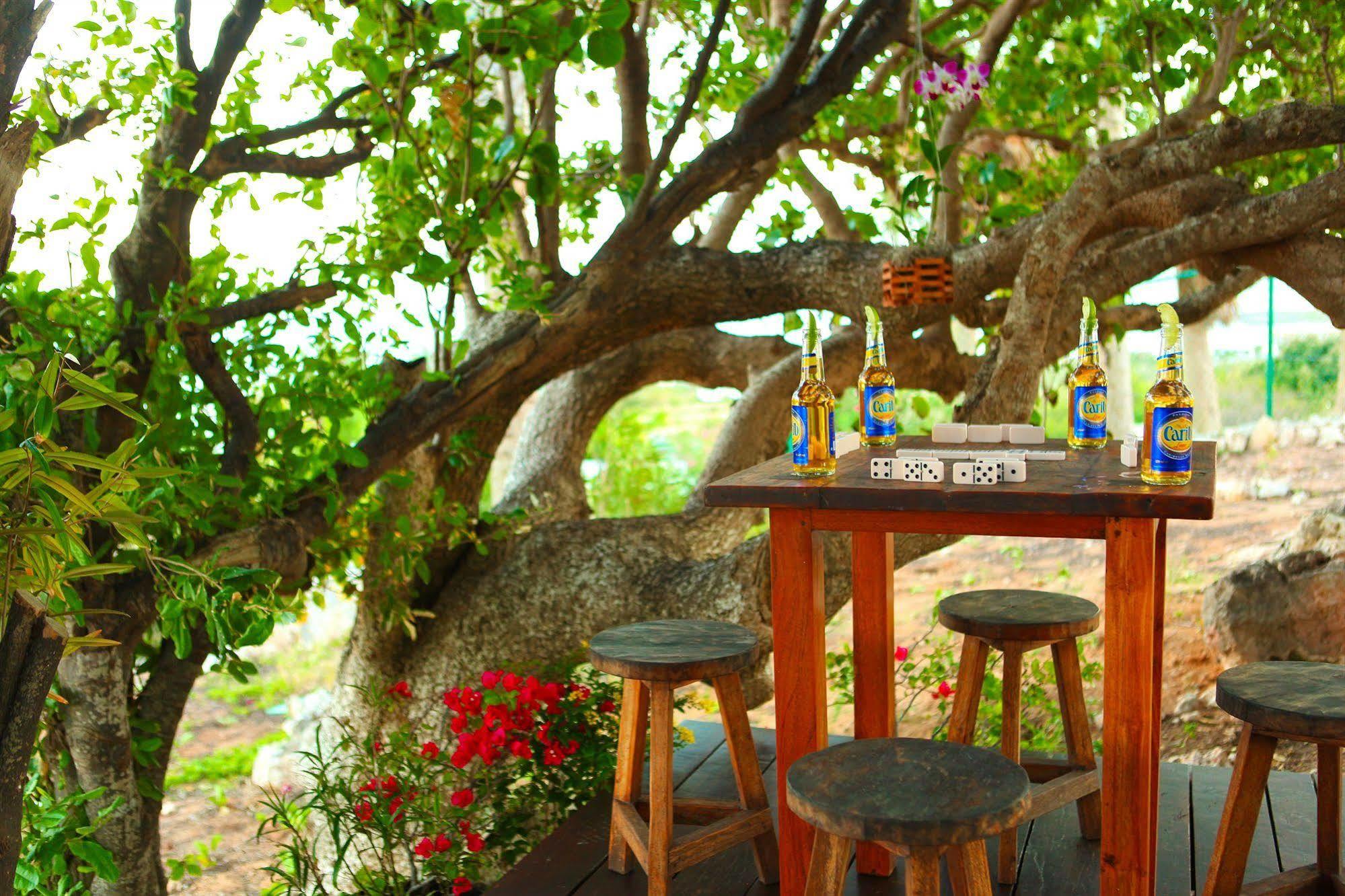 Anguilla'S Bird Of Paradise The Valley Bagian luar foto